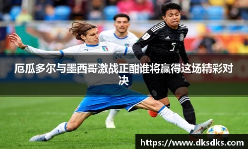 im电竞官网入口